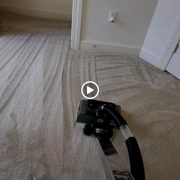 Lavsecco Steam Carpet Cleaning