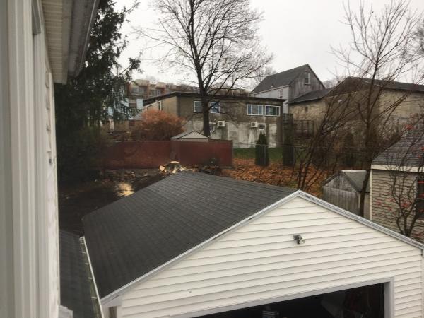 McCarthy Tree Service