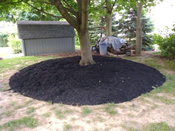 Alexander Lawn and Landscape LLC