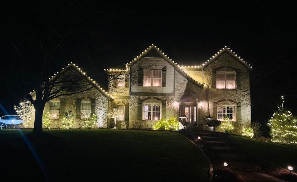 Bloom Lawn and Lights