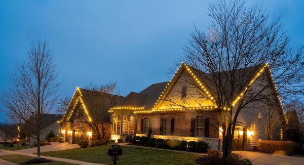 Bloom Lawn and Lights