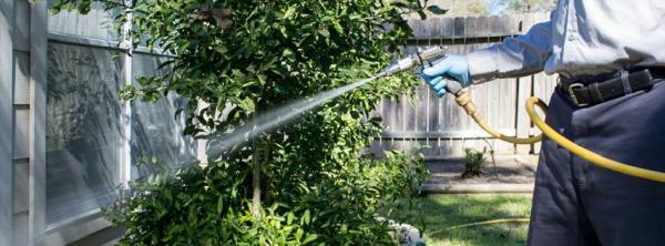 Reliant Pest Management