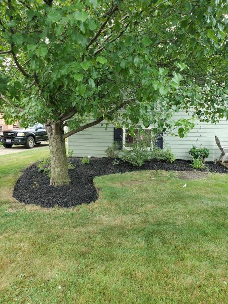 O'hearon Tree Service