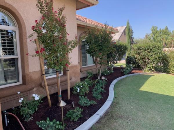 Ventura Landscaping