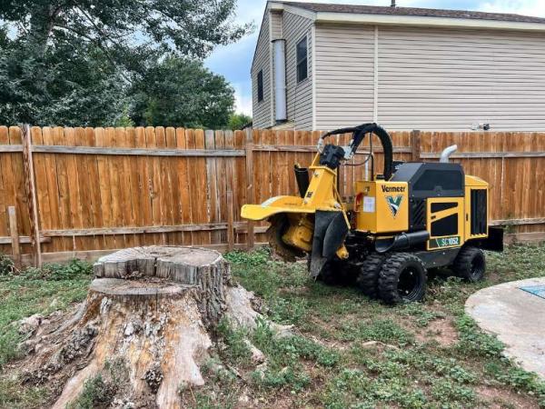 Moore Stump Removal