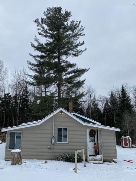 Jensen Tree Care