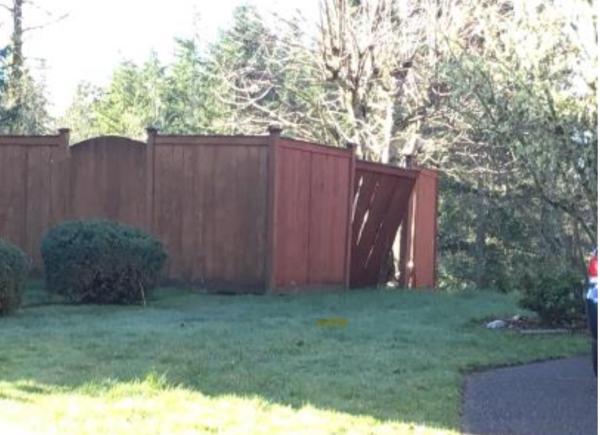 Fencing Company LLC