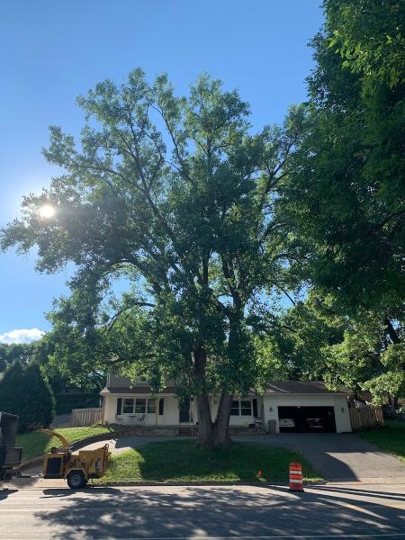 Tree Trust Landscape Services
