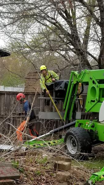 Tree Trust Landscape Services