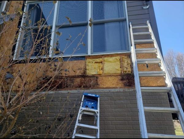 Home Pros
