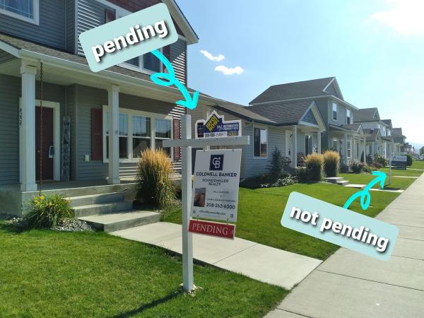 Will & Laura Realty