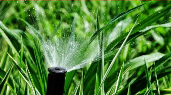 Arundel Irrigation