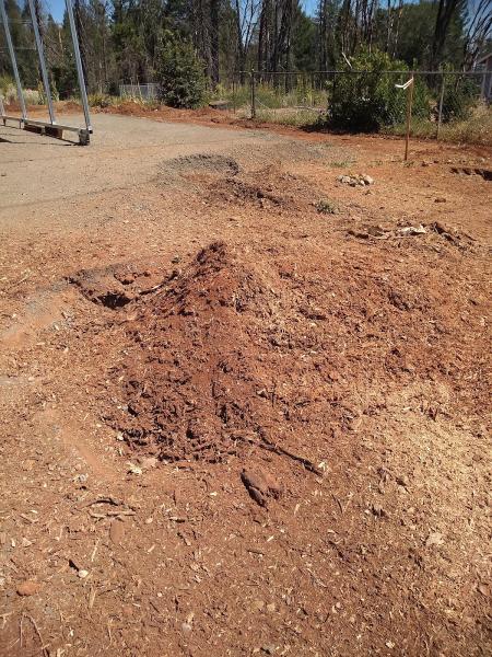 Brolliar Stump Grinding