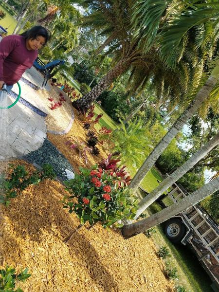 Tree Landscaping Services Corp