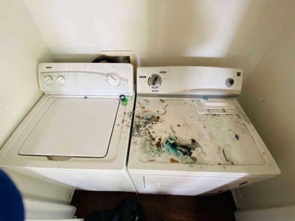 Impeccable Cleaning