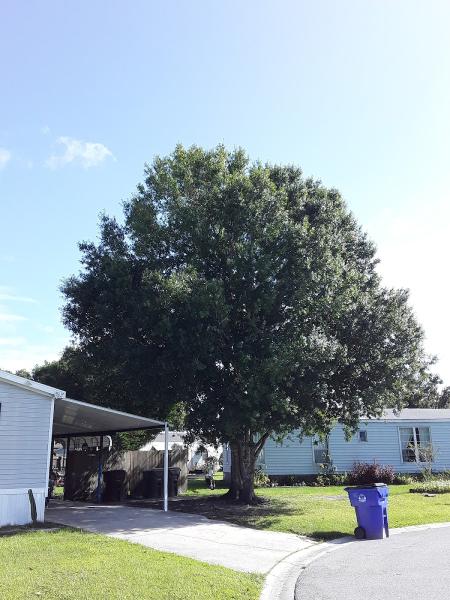 Willie Dowdell Tree Service & Landscaping