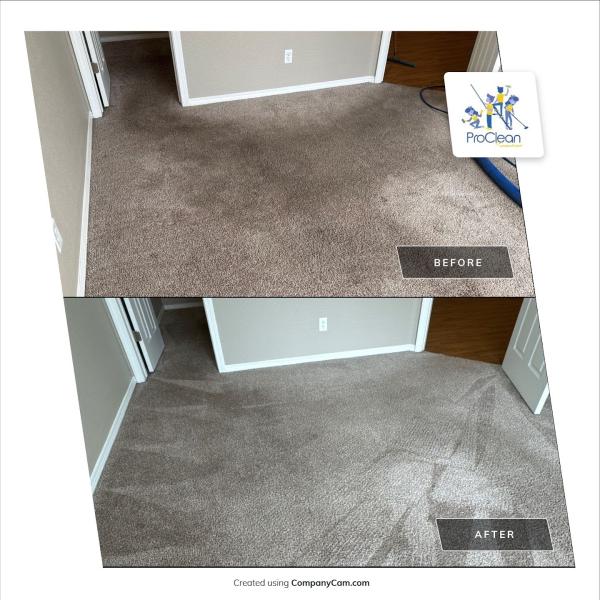 Proclean Services LLC