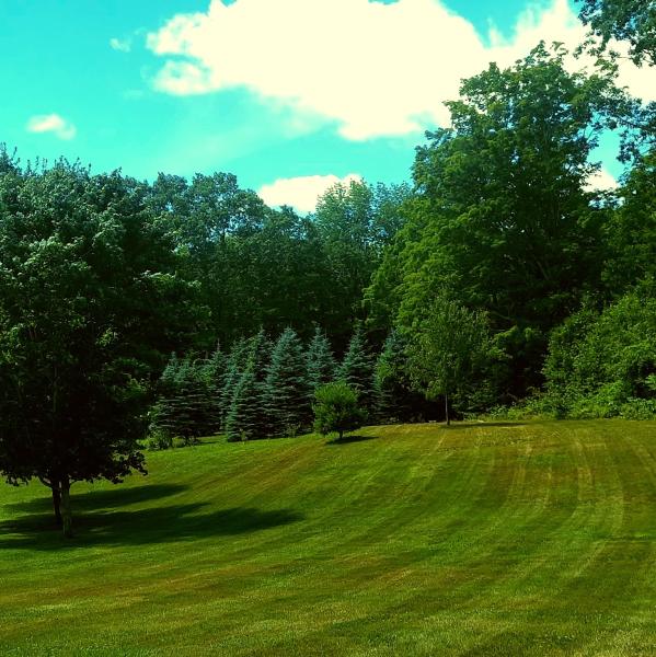 North Star Lawncare