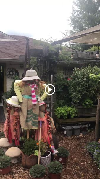 Gramma B's Home & Garden