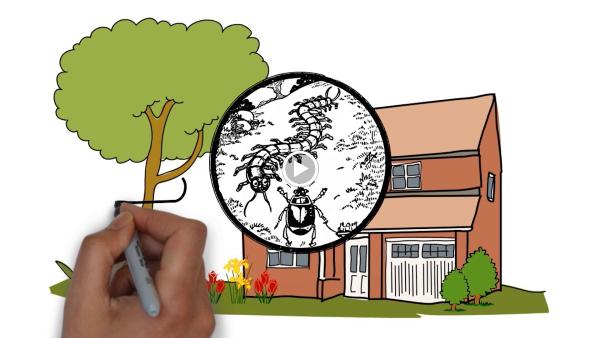 Great Southern Environmental Services
