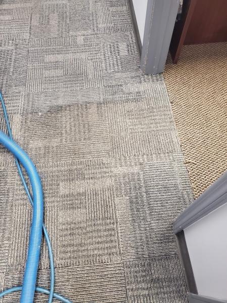 AGP Carpet Cleaning