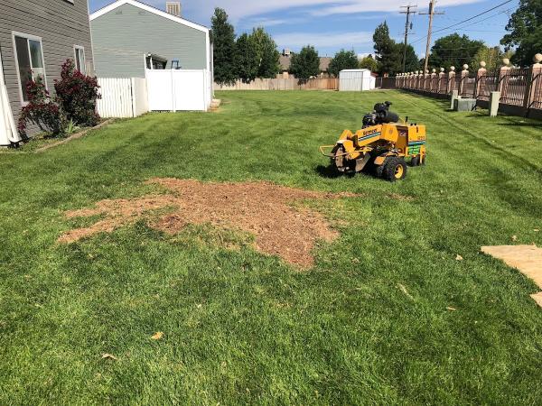 High Country Tree Service LLC