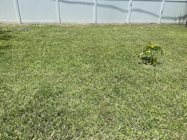Egan's Lawn and Tree Services