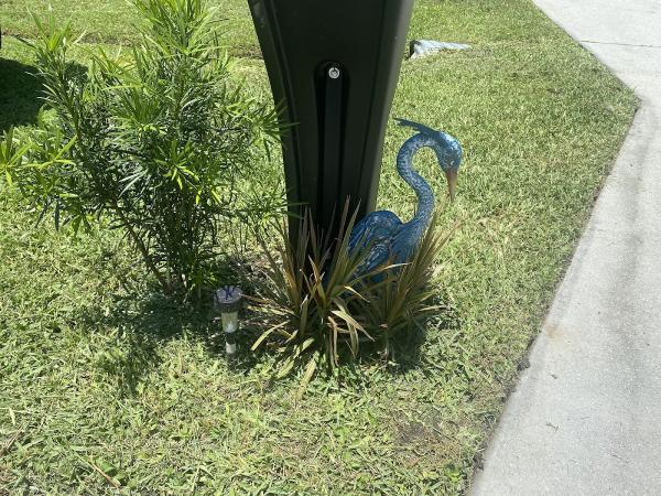 Egan's Lawn and Tree Services
