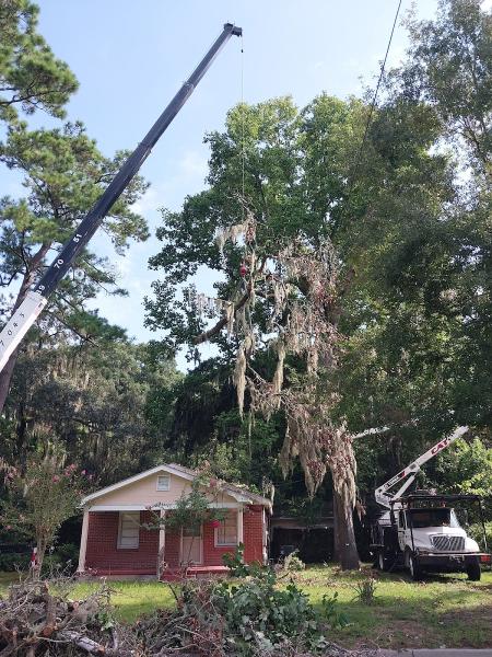 Catco Services LLC