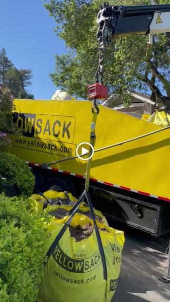 Yellowsack
