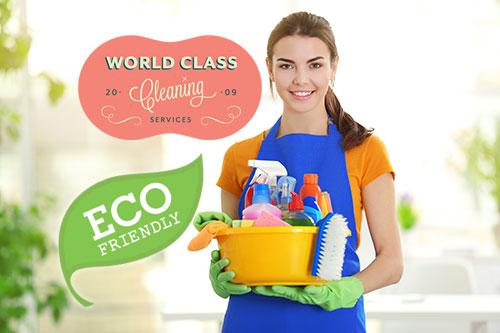 World Class Cleaning Services