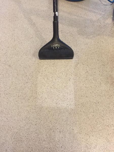 Serenity Carpet Cleaning / Serenity Floor Care