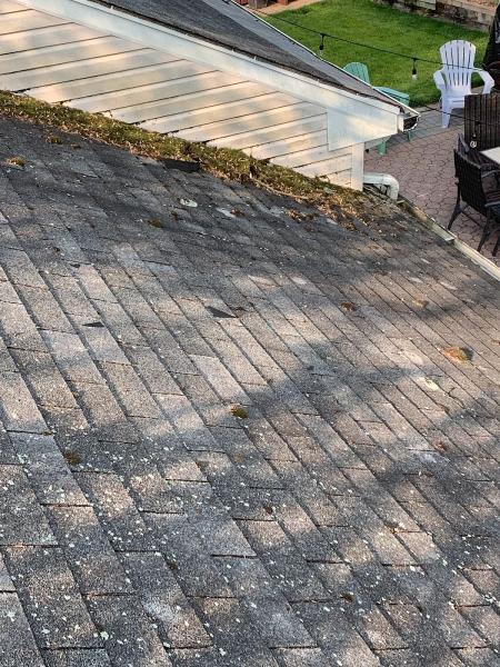 DSA General Contractor LLC