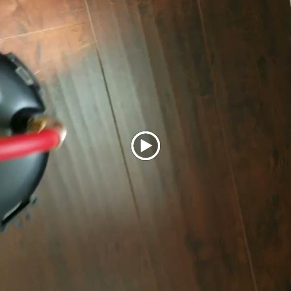 Sharp Pest Management