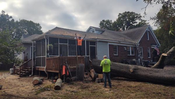 Expert Tree Care LLC
