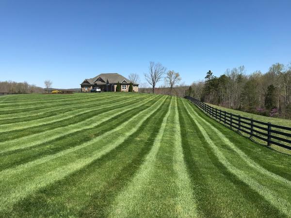 Sherlin Lawncare
