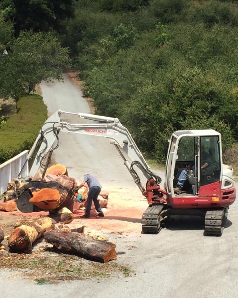 Williams Tree Service