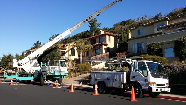 Williams Tree Service