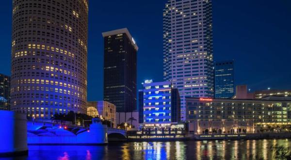 Adam Fernandez Realty: Tampa Realtor