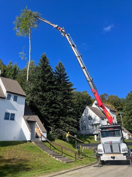 Whitney Tree Service LLC