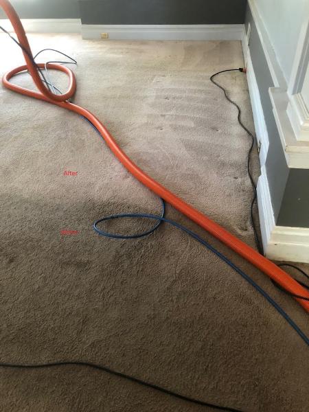 Cleaner Carpets