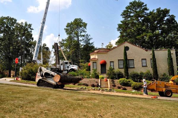 National Tree Service