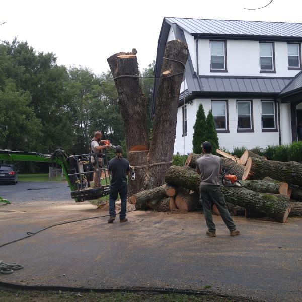 Woodworks