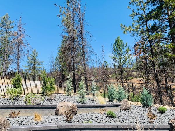 Freestyle Landscaping