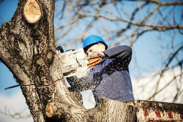 Appalachian Tree Service