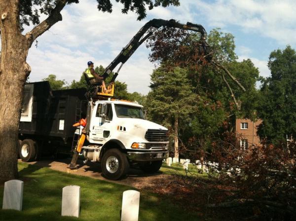 Appalachian Tree Service