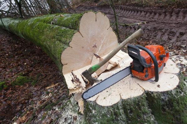 Appalachian Tree Service