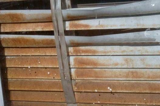 AMT Mold Testing & Indoor Air Quality Consulting