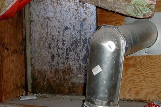 AMT Mold Testing & Indoor Air Quality Consulting