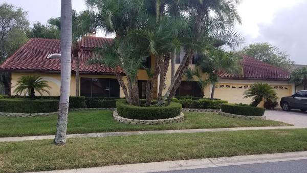 Pro Landscape Services
